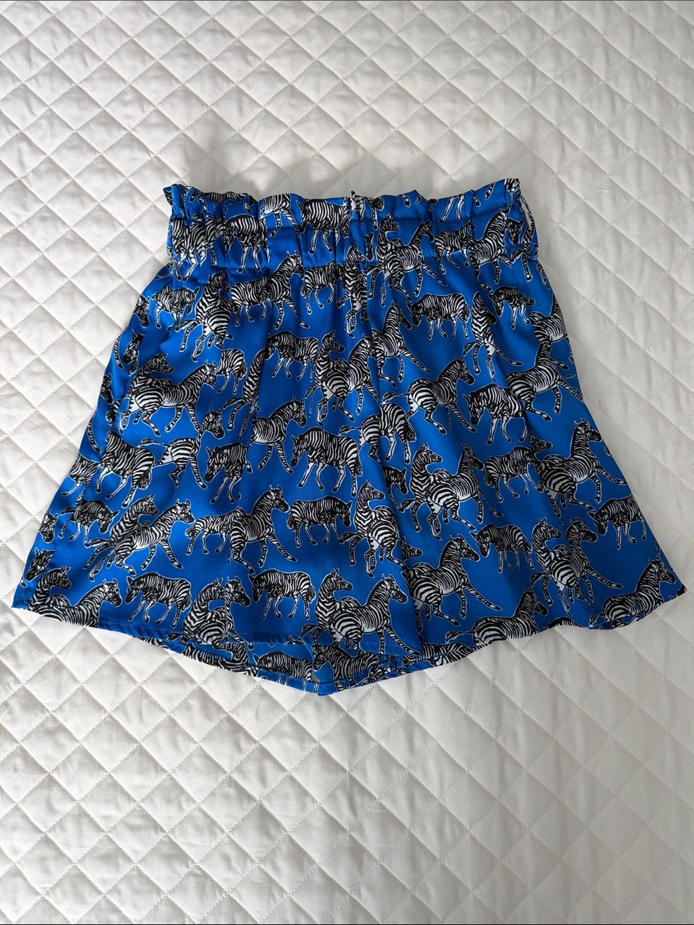 Zara Blue Zebra Print Elastic Waist Shorts